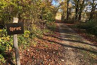 Luxembourg has many paths where you can run or jog