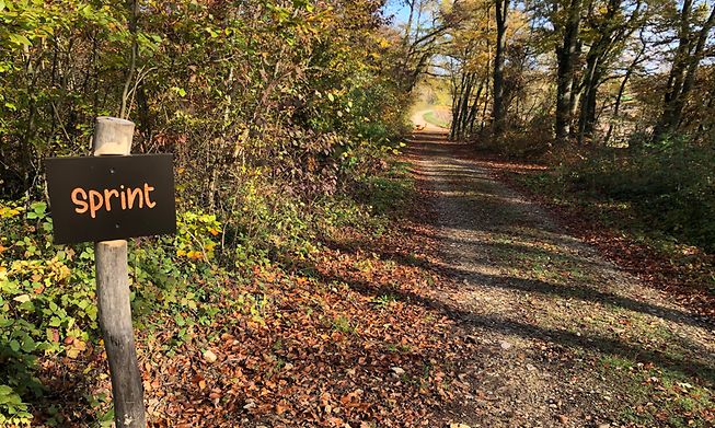 Luxembourg has many paths where you can run or jog