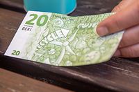 A nota de 20 euros foi desenhada com base no tema do Ambiente por um rapaz de 15 anos da região.