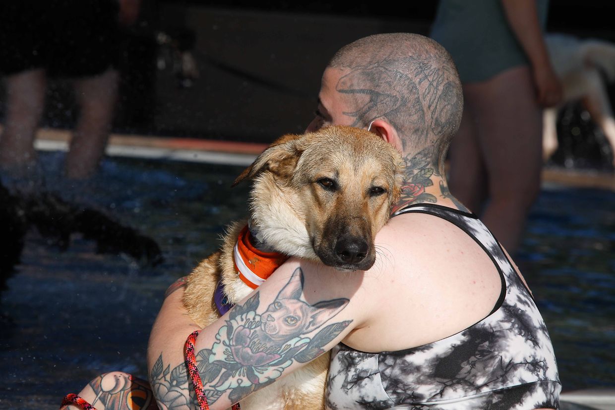 Lokales, Aqua Park, Schwimmbad, Hundeschwimmen, Badespass Foto: Luxemburger Wort/Anouk Antony