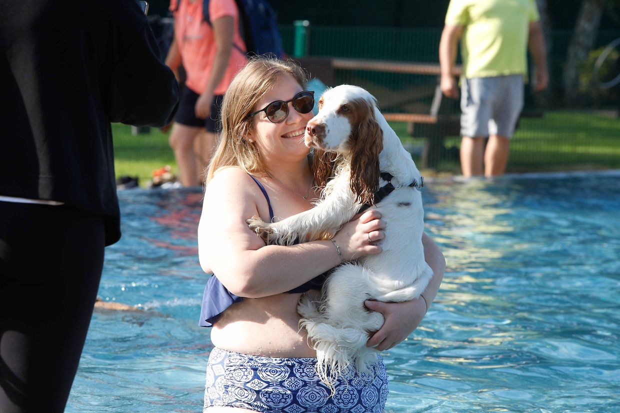 Lokales, Aqua Park, Schwimmbad, Hundeschwimmen, Badespass Foto: Luxemburger Wort/Anouk Antony
