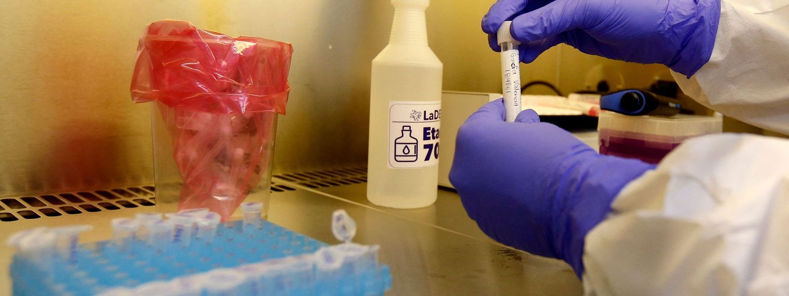 Le LNS a réussi à séquencer 30% des tests positifs au covid repérés entre le 5 et le 11 avril.
