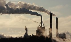 Kohle-, Öl- und Gasunternehmen sowie andere Kohlenstoff-intensive Industrien haben mit Hinblick auf das Pariser Klimaschutzabkommen keine Zukunft mehr, betont Martina Holbach.