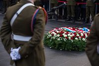 Commémoration Armistice/1. Weltkrieg “Kanounenhiwwel“ Gëlle Fra, Foto Lex Kleren