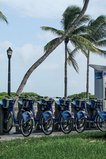 Die USA sind zwar das Land der Autofahrer - doch im Miami können Touristen auch Leihfahrräder nutzen.