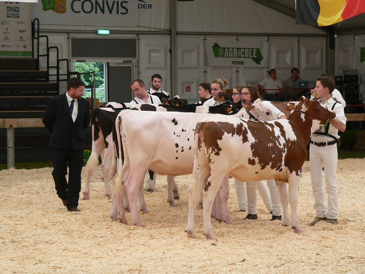 Die "Foire agricole" wusste den Regen am Samstag bereits mit einem abwechslungsreichen Show-Programm zur Nebensache werden zu lassen.