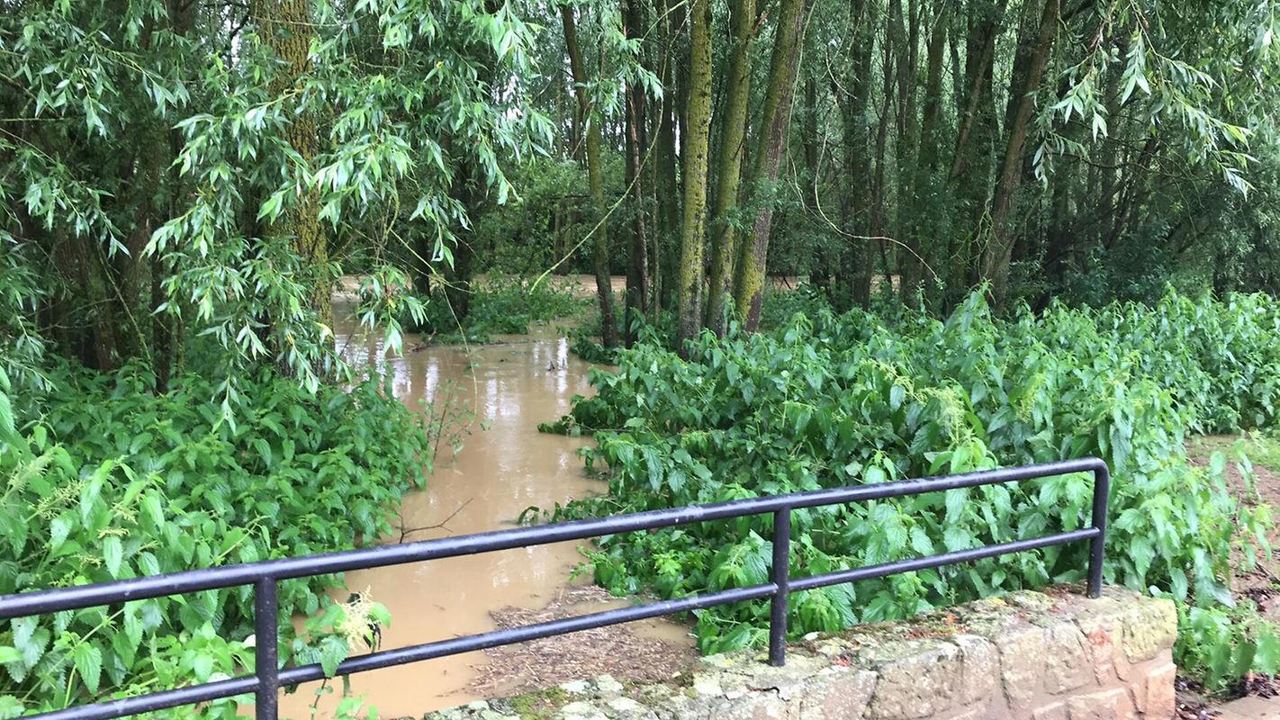 Die Alzette in Hesperingen.