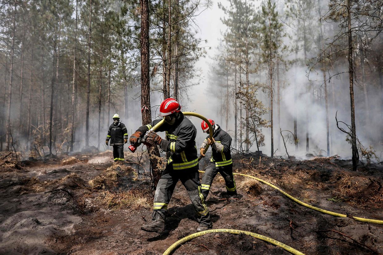 Feuerwehrkräfte bekämpfen einen Waldbrand in Belin-Béliet im Südwesten Frankreichs. 