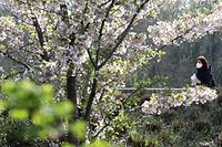 Lokales,  Coronavirus, Covid-19, Foto: Chris Karaba/Luxemburger Wort