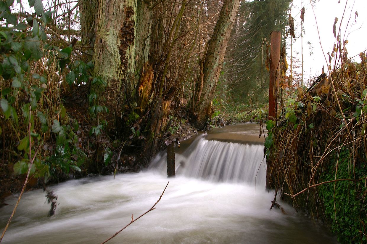 KONICA MINOLTA DIGITAL CAMERA