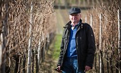 Mit 31 Jahren übernahm er den Winzerbetrieb seines Vaters.