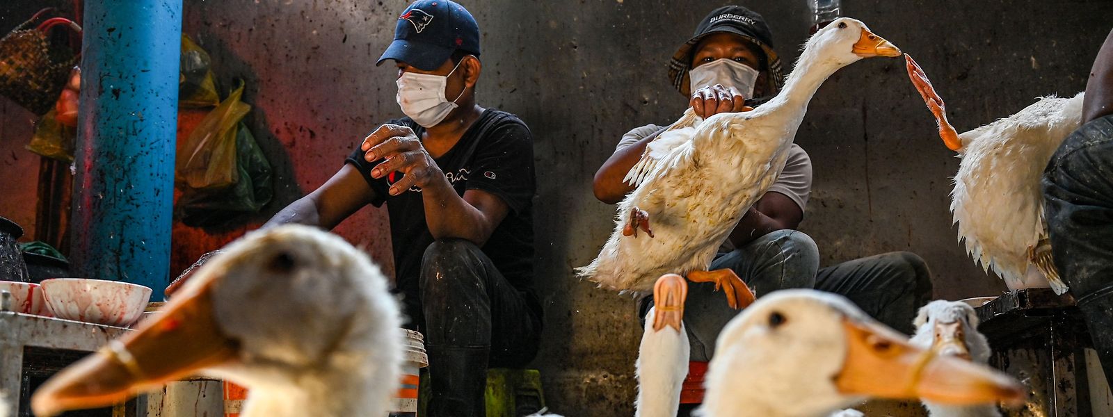 Bilder von einem Markt in Phnom Penh: In Kambodscha starb jüngst eine 11-Jährige, vermutlich nach einer Vogelgrippe-Infektion.