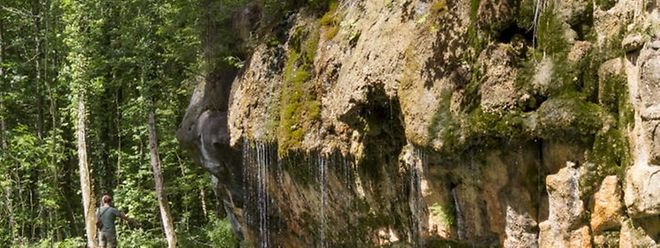 Nicht nur rund um den Schiessentümpel hat das Müllerthal einiges zu bieten.