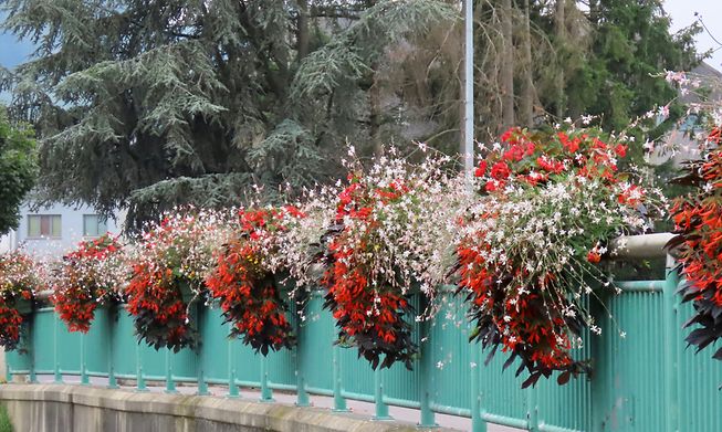 Straddling the banks of the River Alzette the commune of Walferdange is surrounded by beautiful forests