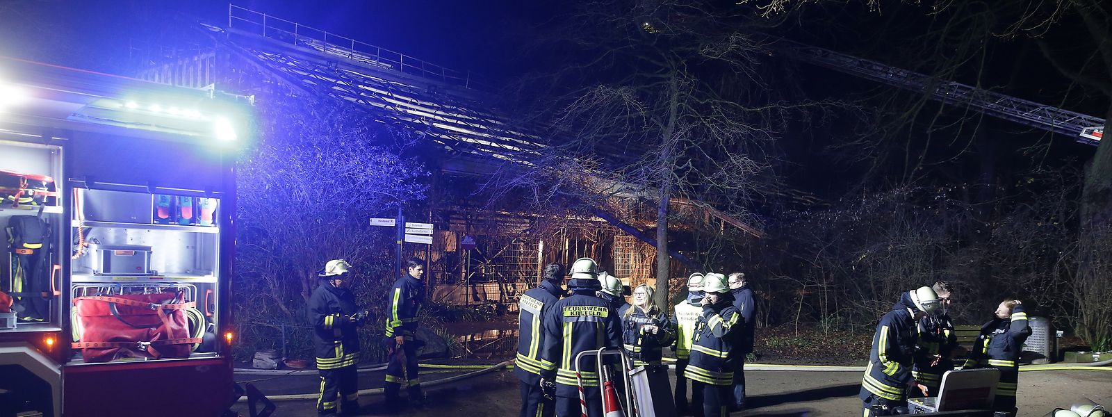 Brand In Krefelder Zoo Mehr Als 30 Tiere Sterben Im Affenhaus