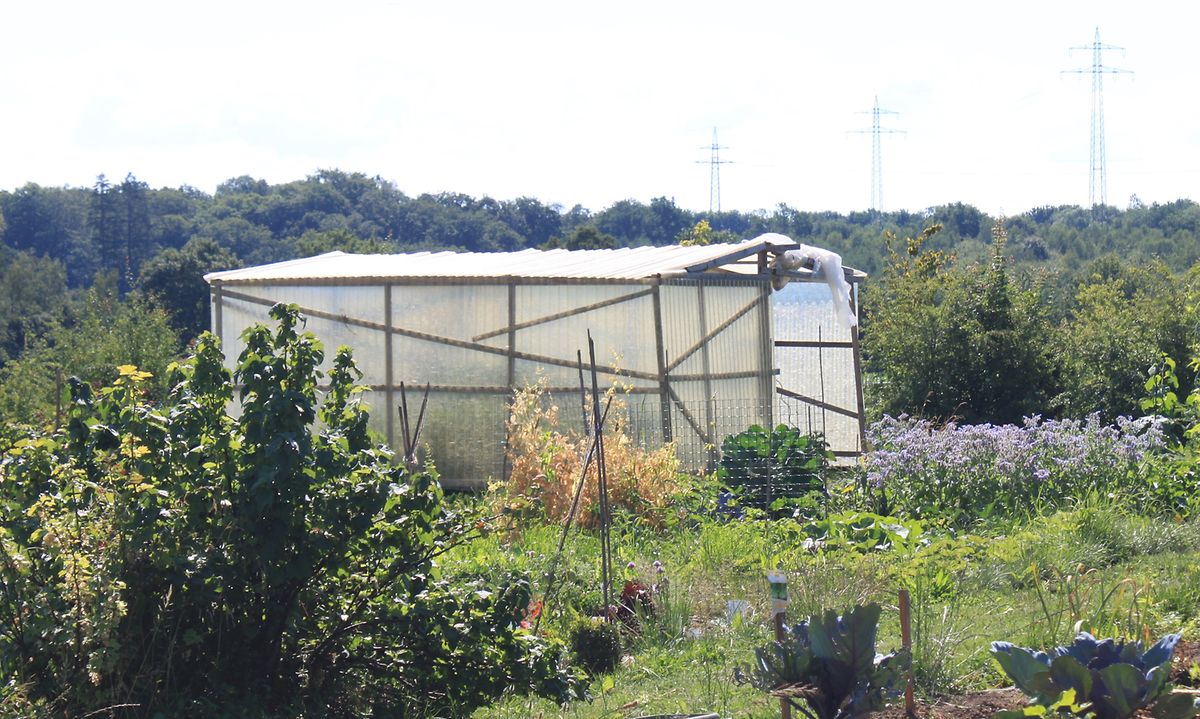 A greenhouse at the Bonnevoie plot Photo: Faye Peterson