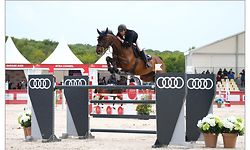 569 : PASHA DU GUE : BETTENDORF Victor