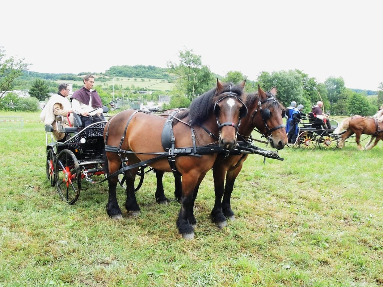 Die "Foire agricole" wusste den Regen am Samstag bereits mit einem abwechslungsreichen Show-Programm zur Nebensache werden zu lassen.