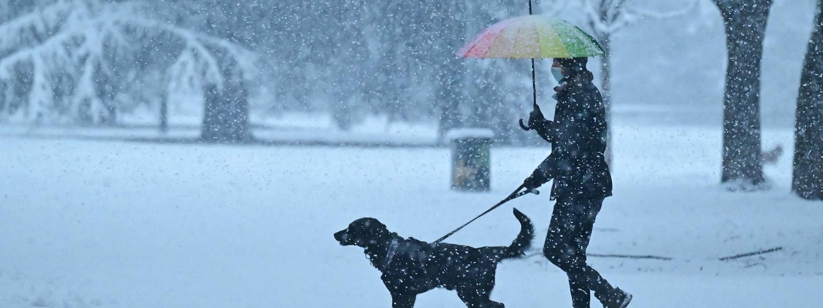 Ein Spaziergänger mit seinem Hund trotzt dem Schnee in Mailand.