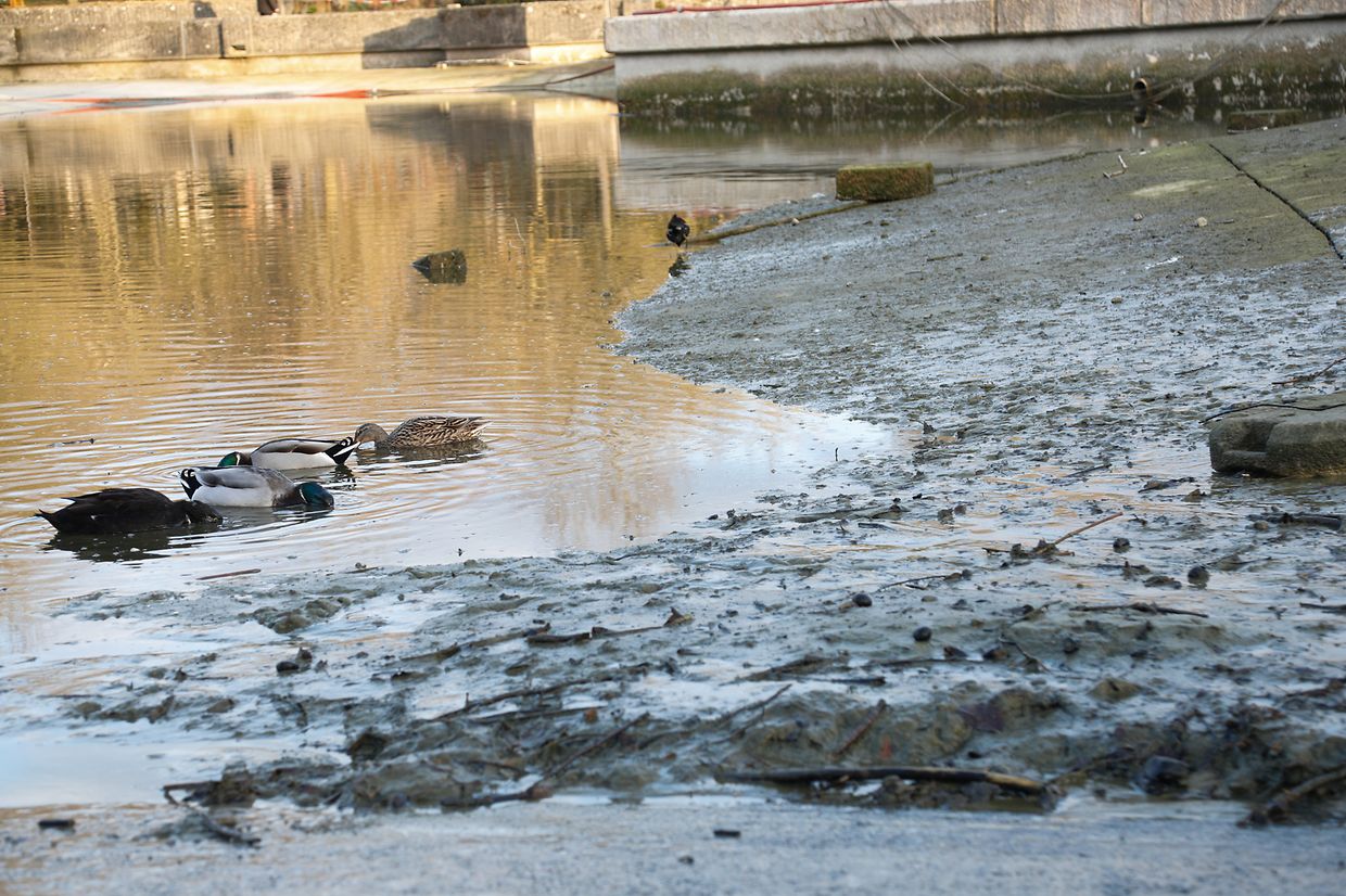 Ungewöhnliche Einblicke tun sich dem Betrachter nach dem Ablassen des Wassers auf.