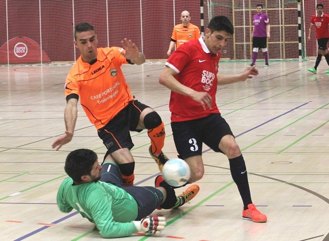 Guardião da Amicale atento