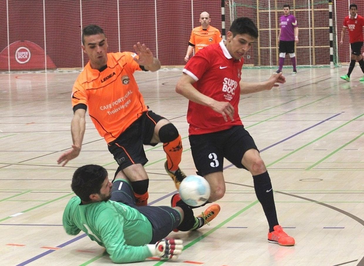 Guardião da Amicale atento