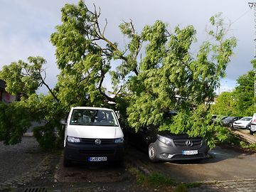 Kaltfront: Heftiger Sturm fegt über Trier hinweg