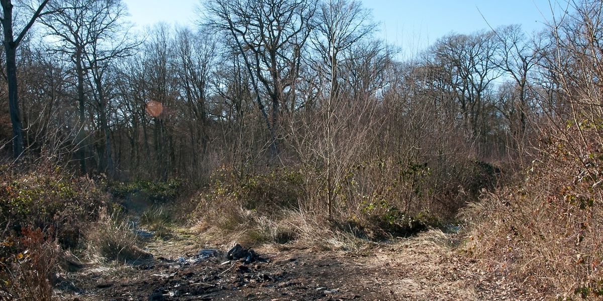Das ausgebrannte Auto wurde in Roussy-le-Village gefunden.