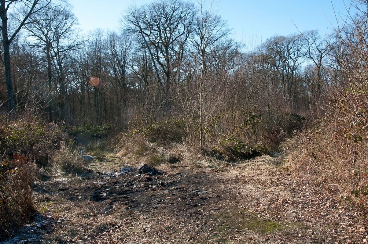 In Roussy-le-Village hatte die französische Gendarmerie am Montagabend das ausgebrannte Auto und die Leiche gefunden.