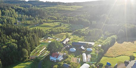 Farming with nature, not against it - Vimarsana News