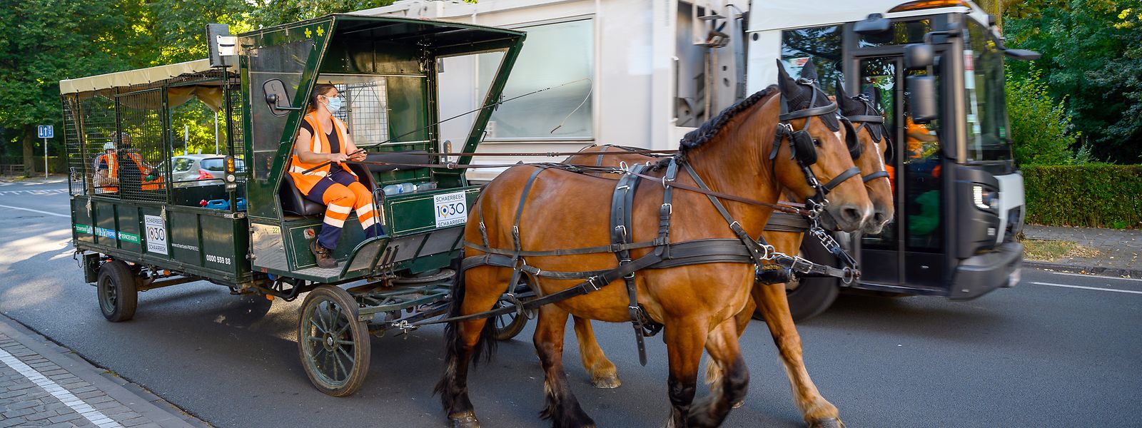 Ein Müllwagen fährt an dem Pferdewagen des Sauberkeitsdienstes im Brüsseler Stadtteil Schaerbeek vorbei. Seit 2011 kommt die Müllabfuhr an sechs Tagen in der Woche nicht nur mit den herkömmlichen Lastwagen, sondern auch per Pferdegespann. 