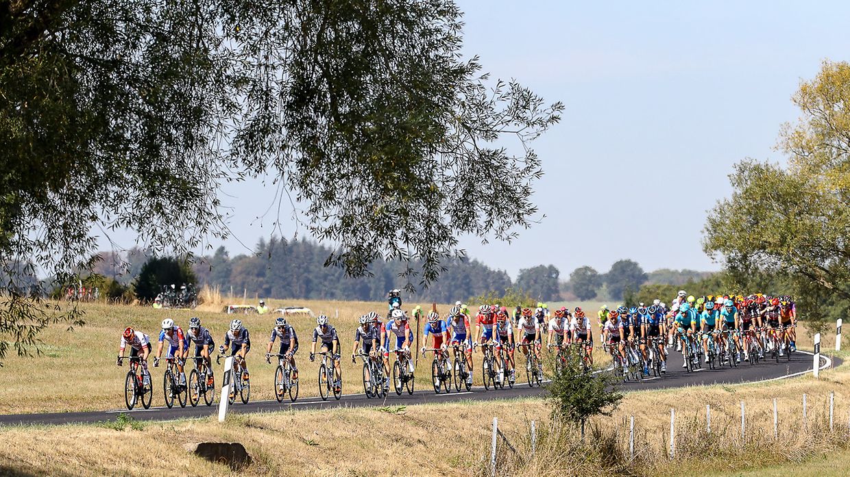 Die Fahrer auf der ersten Etappe.