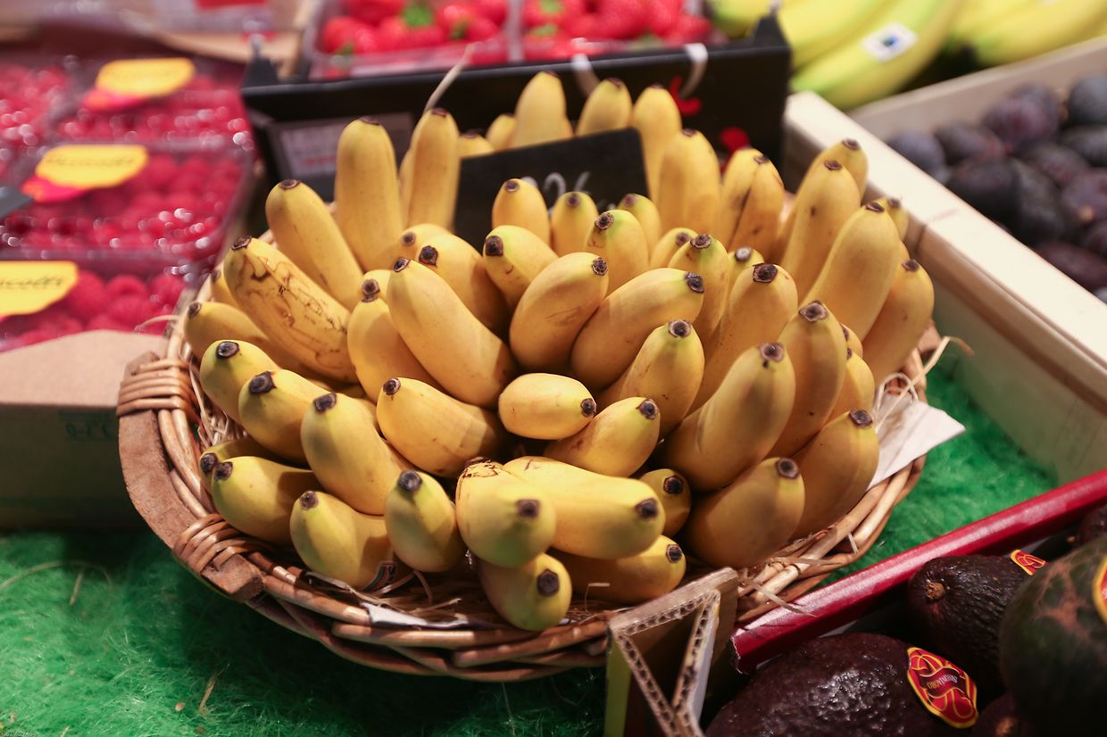 25.10.2017 Luxembourg, ville, Knuedler, place Guillaume, Wochenmarkt sehr früh am Morgen photo Anouk Antony