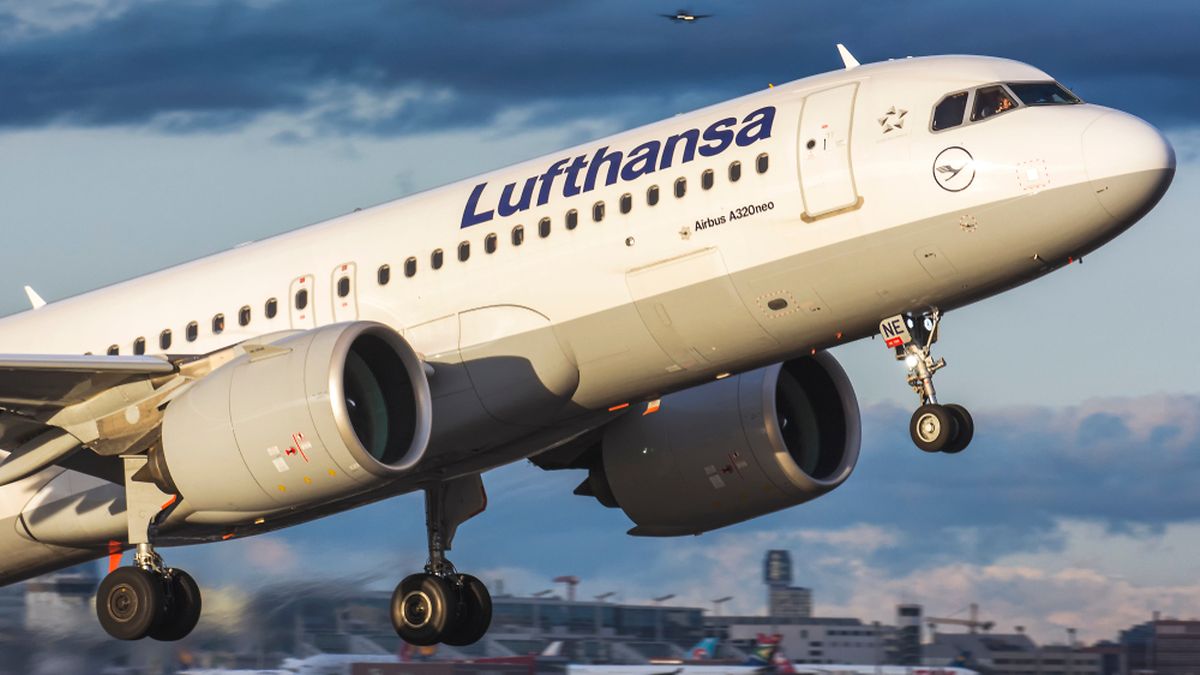 Lufthansa has received a multi-billion euro bailout package from the German government Photo: Shutterstock