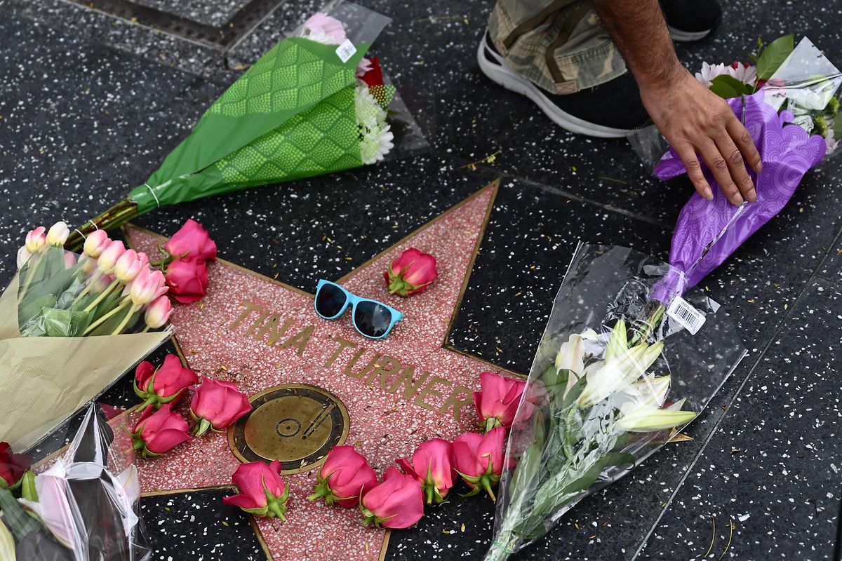 Blumen auf dem Hollywood Walk of Fame Stern der US-amerikanisch-schweizerischen Sängerin Tina Turner.