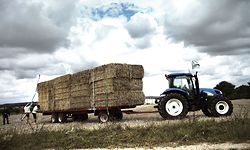 De la paille est chargée sur un tracteur le 27 juillet 2011 à Bray-sur-Seine, en Seine-et-Marne où une caravane de 60 tracteurs se ravitaille. Les agriculteurs de l'Ain vont y trouver, après un périple de plus de 300 kilomètres, 1.000 tonnes de paille à rapporter dans leurs élevages affectés par la sécheresse en mai dernier, dans le cadre d'un "convoi de solidarité". AFP PHOTO / JEFF PACHOUD
