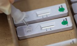 04.03.2021, Baden-Württemberg, Hemmingen: Eine Arzthelferin tropft die Abstrichlösung in einer Grundschule auf einen Corona-Schnelltest. An der Schule werden die Lehrerinnen und Lehrer zweimal pro Woche getestet. Nach dem Beschluss von Bund und Ländern sollen bis Anfang April Corona-Testmöglichkeiten deutlich ausgeweitet werden. Foto: Sebastian Gollnow/dpa +++ dpa-Bildfunk +++