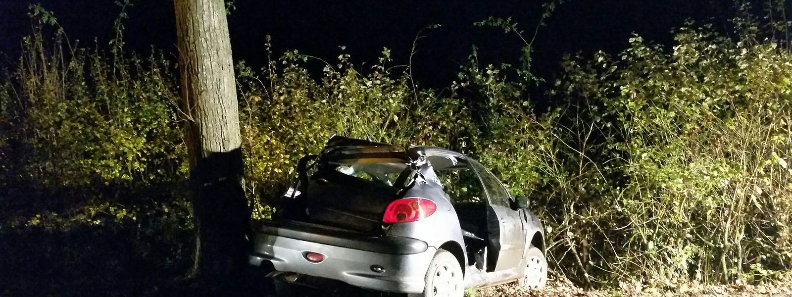 Le conducteur a perdu le contrôle de son véhicule et a percuté un arbre.