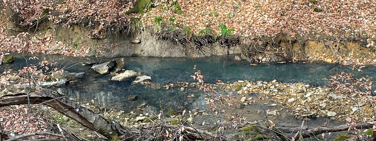 La décoloration des eaux du ruisseau est due aux bactéries qui passent d'un bassin de rétention du Findel à la nature voisine...
