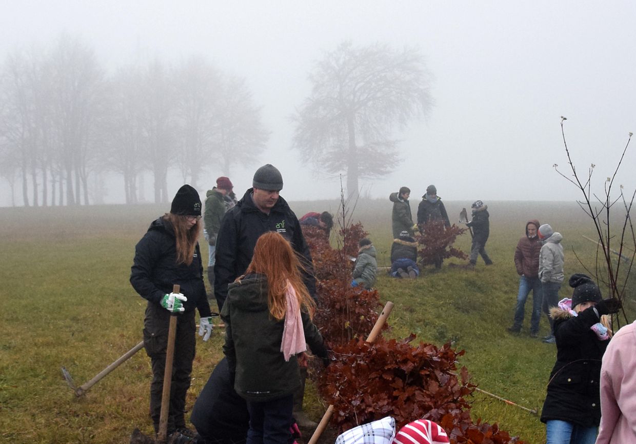 Dag vum Bam am Niwel zu Heischent - Photo: Y. Krippel