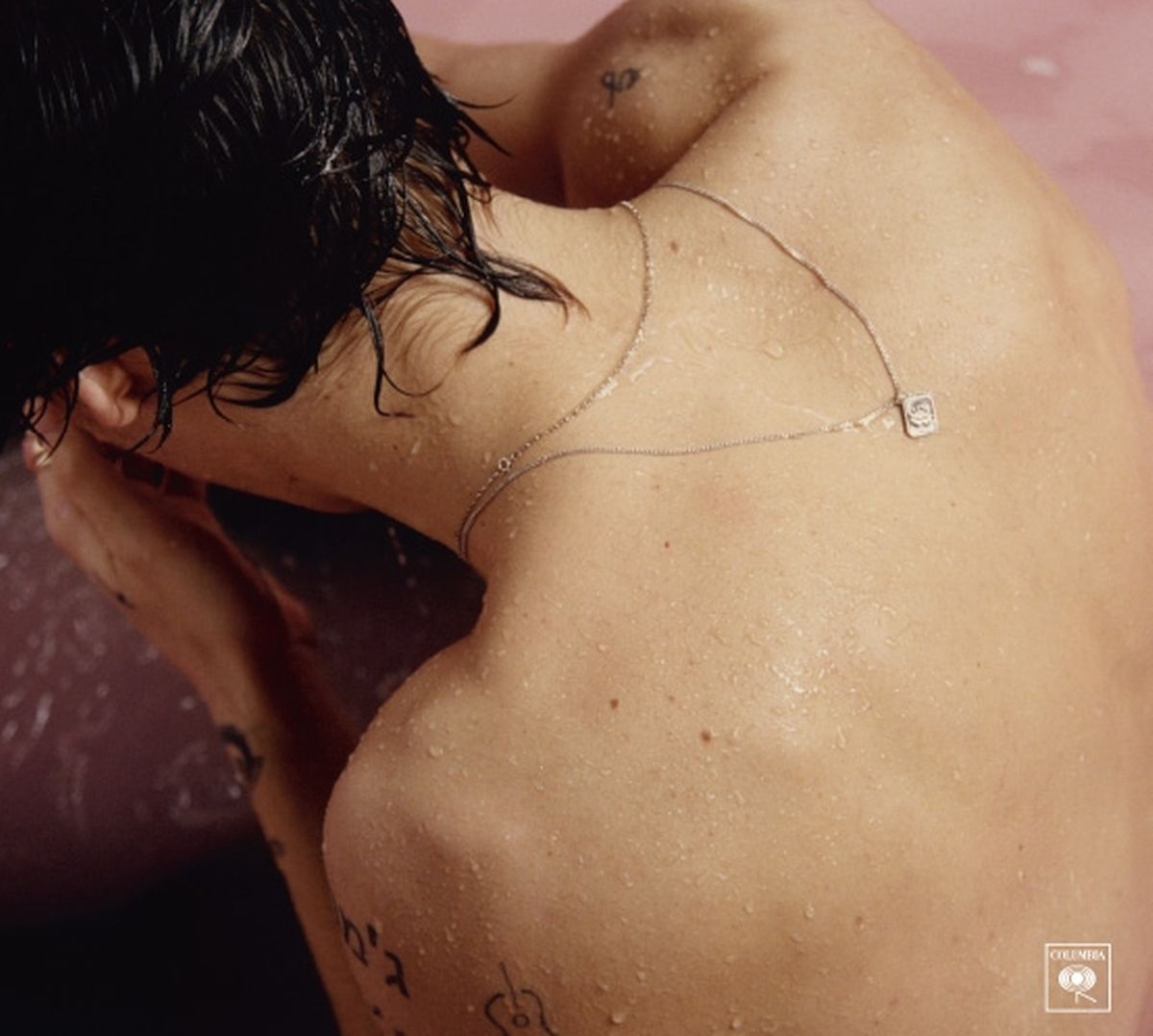 Harry Styles/ „Harry Styles“ / Erskine Records, Columbia Records / 10 Songs / 40:24 Min. 