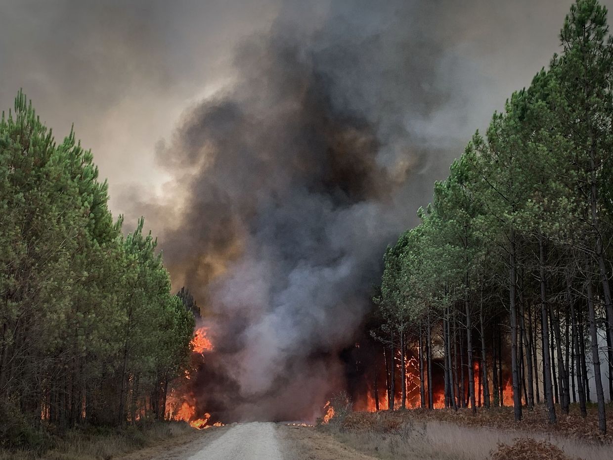 Les flammes ont dévoré la forêt de Saint-Magne, en Gironde, laissant les pompiers impuissants.