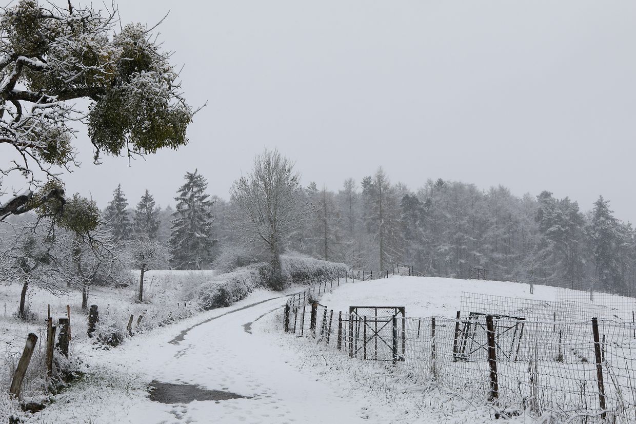 Illustration, Schnee, Schneefall, Winter,  Foto: Anouk Antony/Luxemburger Wort