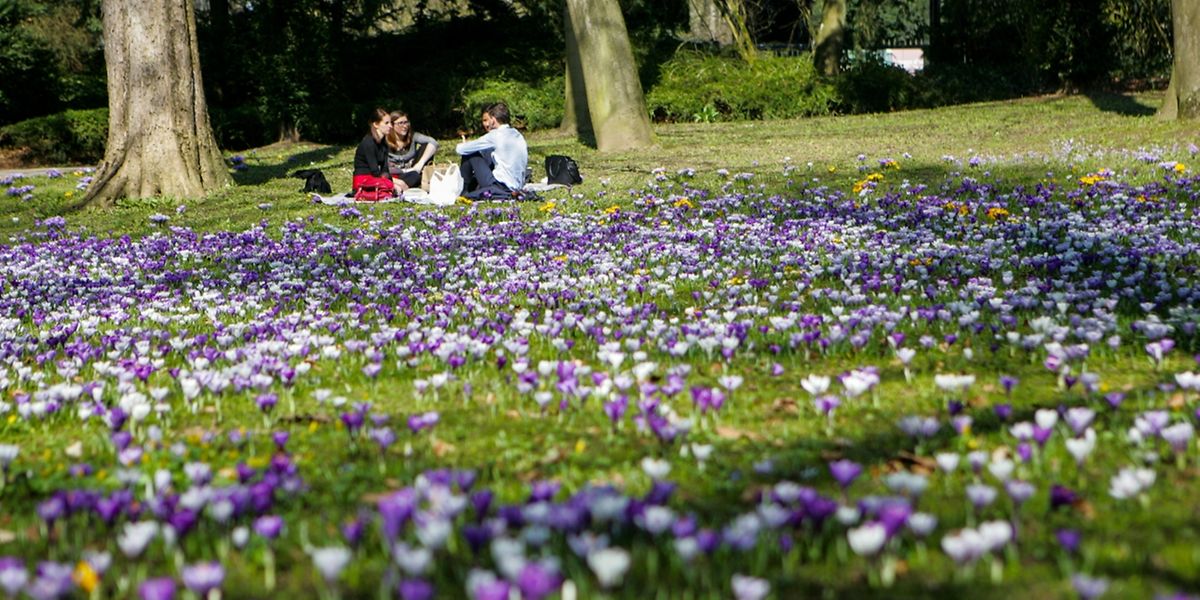 Das gute Wetter lud viele Menschen dazu ein, Zeit im Freien zu verbringen.