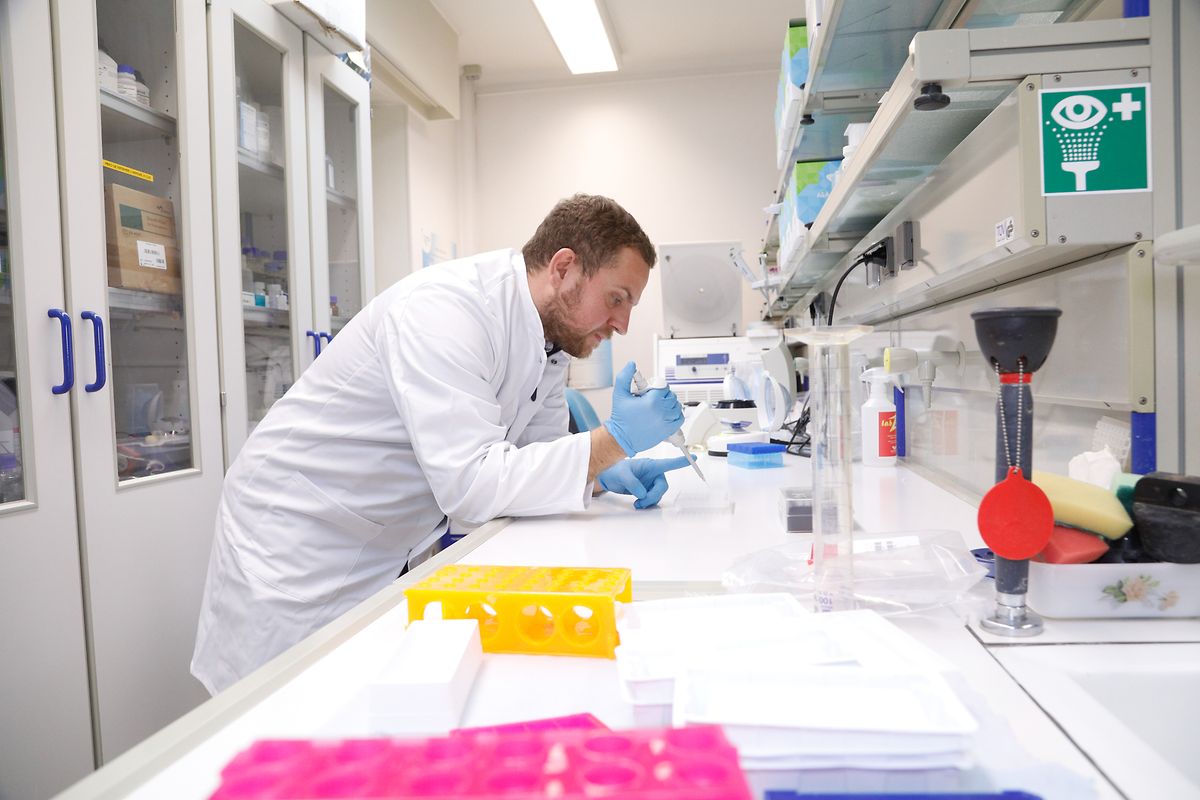 Au laboratoire, le Dr. Alexander Weigand établit un profil ADN des tiques envoyées. 
