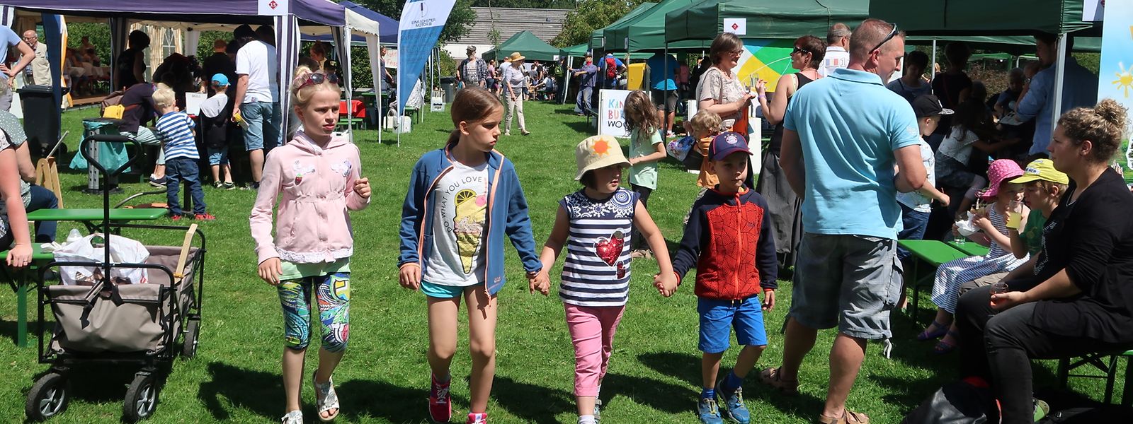 Das Naturparkfest bot vor allem Kindern die  Möglichkeit, eine aufregende Entdeckungstour zu unternehmen.