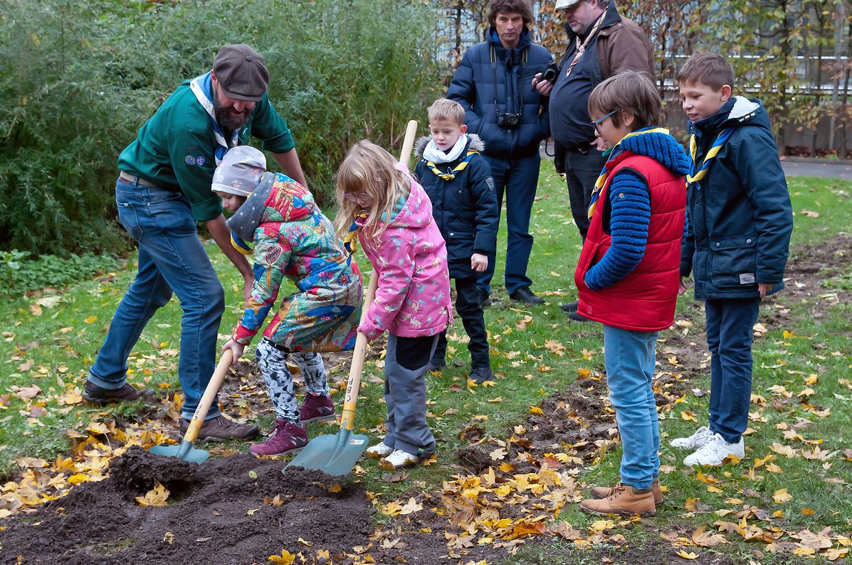 100 Joer Beetebuerger Guiden a Scouten: Das Pflanzen von Bäumen im Parc Grande-Duchesse Charlotte in Bettemburg. (Foto: Alain Piron)