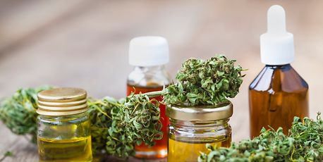 Cannabis is Luxembourg's most popular drug - Vimarsana News