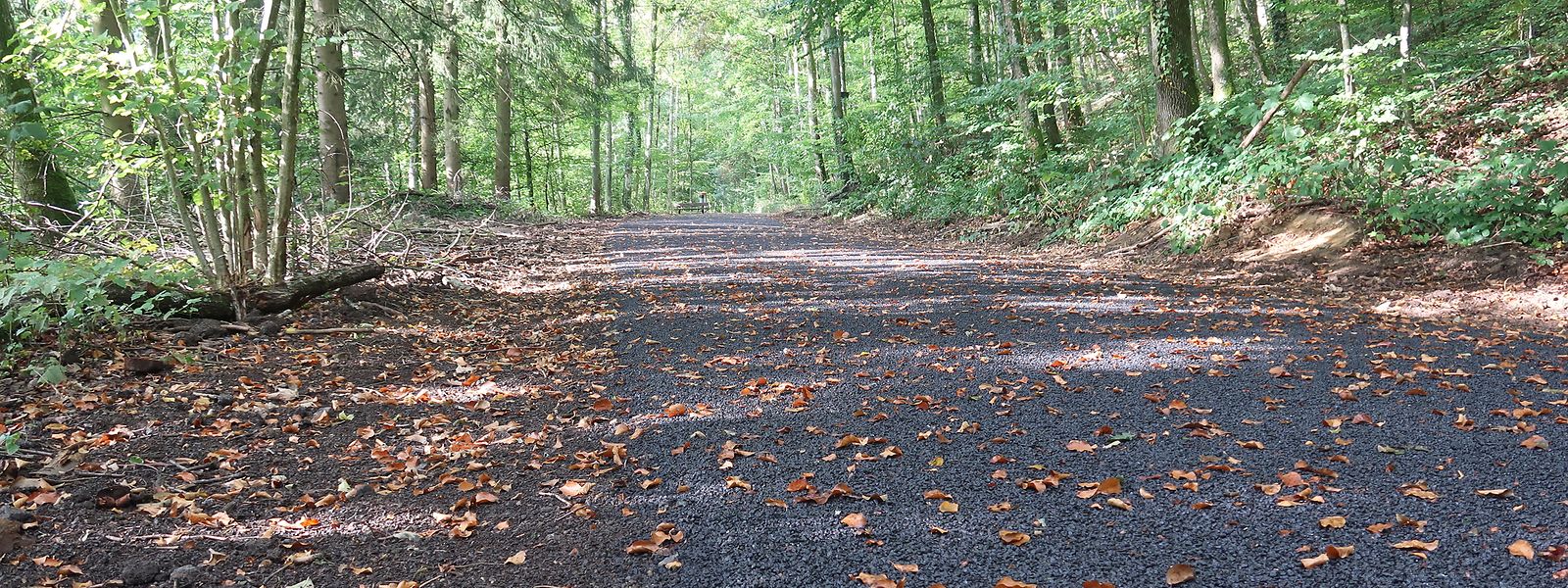 Schifflinger Waldweg: Ärger mit Schotter