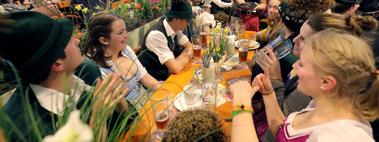Berlins „größter Bauernhof“